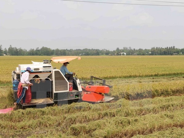 Nam Dinh fosters agricultural cooperation with Japan’s Miyazaki  - ảnh 1